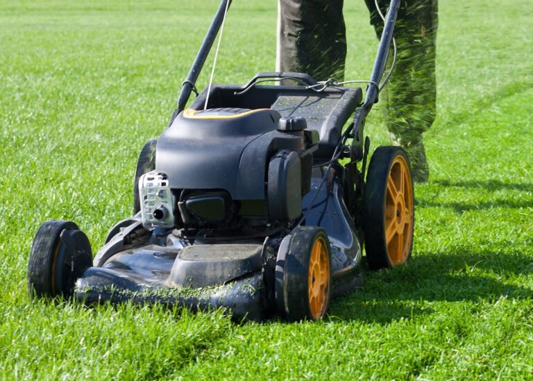 Easement Maintenance in Ontario: Who Is Responsible and What the Law Says